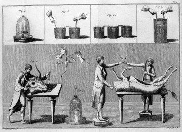 L0007025 Giovanni Aldini, galvanism experiments