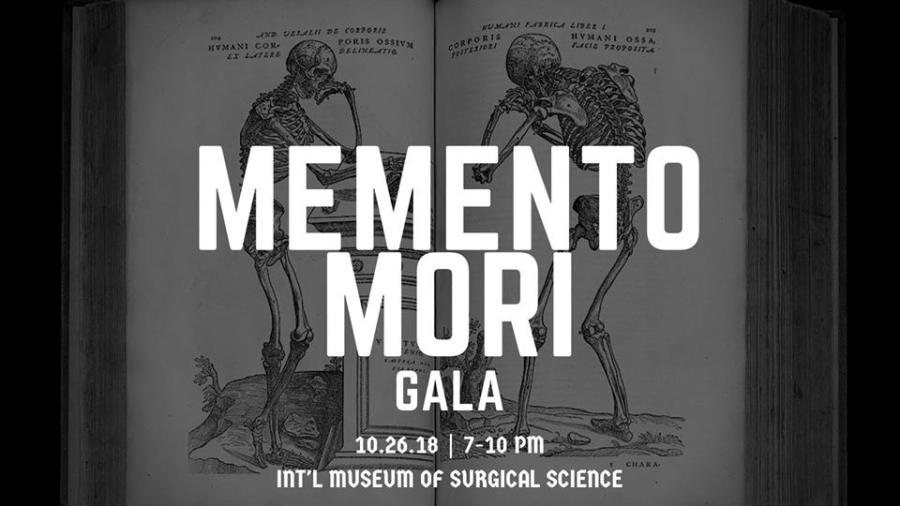 41360616_2225754187453804_1702282812863807488_n