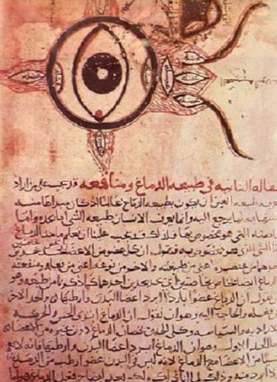 eye 1 - arabia